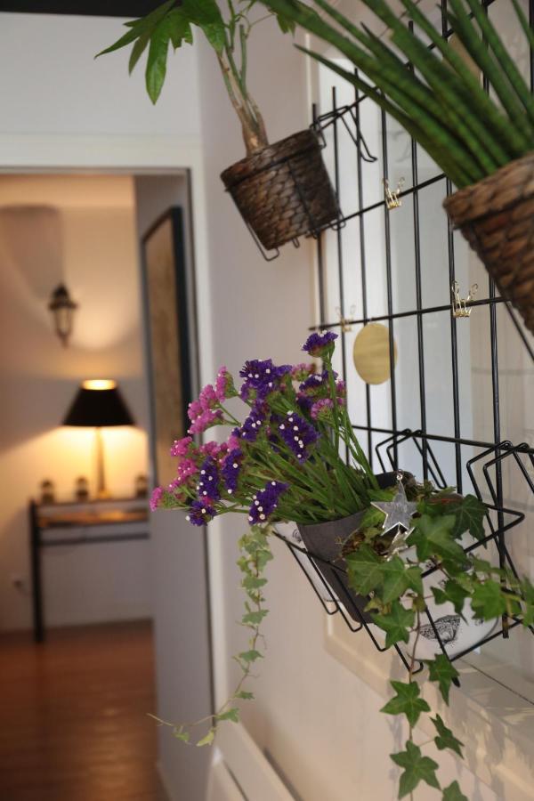 Le Floreal, Great Quiet Appt In Very Town Center Apartment ตูร์ ภายนอก รูปภาพ